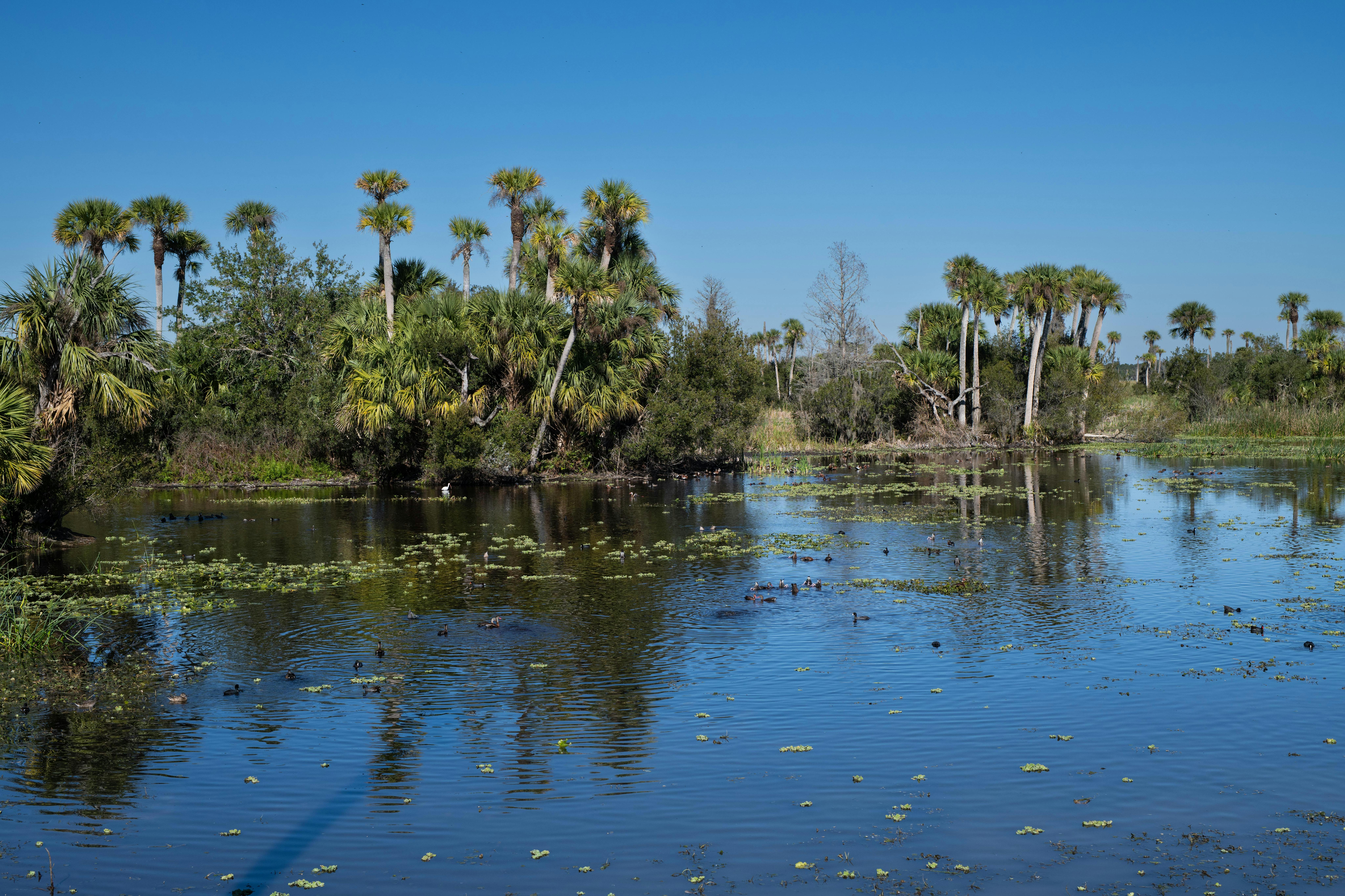 Environmental consulting